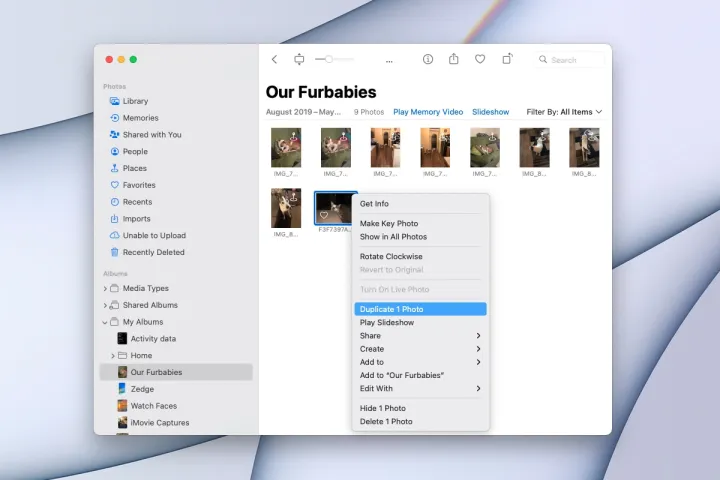 mac-photos-app-duplicate